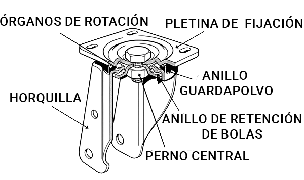 Componentes del soporte